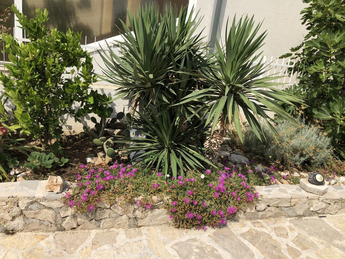 Apartmani Zvijezda Rogoznica (Sibenik-Knin) Exterior photo